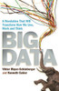 Viktor Mayer-Schonberger / Big Data: A Revolution That Will Transform How We Live, Work and Think (Large Paperback)
