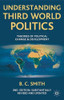 Brian C. Smith / Understanding Third World Politics Theories of Political Change and Development (Large Paperback)
