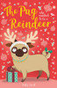 Bella Swift / The Pug Who Wanted to Be A Reindeer