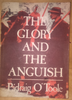 Pádraig O'Toole  - The Glory and the Anguish - 1984 PB GAA History 1901-1929 Loughrea TN