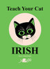 Anne Cakebread / Teach Your Cat Irish