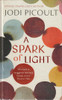 Jodi Picoult / A spark of light (Hardback) Jodi Picoult / A spark of light (Hardback)