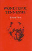 Brian Friel / Wonderful Tennessee (Large Paperback)