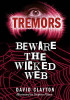 Anthony Masters / Beware the Wicked Web (Large Paperback)