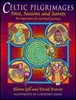 Elaine Gill / Celtic Pilgrimages: Sites, Seasons and Saints : An Inspiration for Spiritual Journeys (Coffee Table Book)