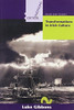 Luke Gibbons / Transformations in Irish Culture (Large Paperback)