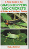 Heiko Bellman / A Field Guide to the Grasshoppers and Crickets (Hardback)