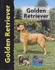 Nona Kilgore Bauer / Golden Retriever (Coffee Table Book)