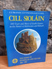 Sean ó Nuinseain - Cill Sioláin - 100 Years and More of Gaelic Games in the Parish of Kilsheelan and Kilcash  1884-1988 - PB