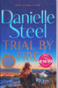 Danielle Steel / Trial by Fire (Large Paperback) Danielle Steel / Trial by Fire (Large Paperback)