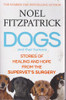 Noel Fitzpatrick / Dogs and their Humans (Large Paperback)