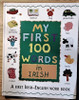 My First 100 Words in Irish (Children's Coffee Table book)