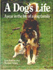 Burton Allaby / A DOG'S LIFE: A Year in the Life of a Dog Family (Coffee Table Book)