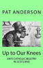 Pat Anderson / Up to Our Knees (Large Paperback)
