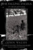 John Walsh / The Falling Angels John Walsh / The Falling Angels