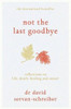 David Servan-Schreiber / Not the Last Goodbye (Hardback)
