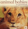 Jennifer Schofield / Animal Babies in Grasslands (Children's Coffee Table book)
