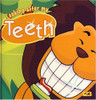 Looking After my Teeth (Children's Coffee Table book)