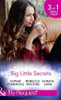 Mills & Boon / By Request / 3 in 1 / Big Little Secrets: Heiress on the Run / the Ranger's Secret / the Billionaire in Disguise