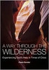 Paula Gooder / A Way Through the Wilderness (Large Paperback)