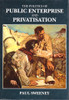 Paul Sweeney / The Politics of Public Enterprise and Privatisation (Hardback)