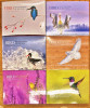 Bird Photographer of the Year (6 Book Collection)