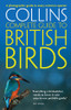 Paul Sterry / Collins Complete Guide to British Birds (Large Paperback)