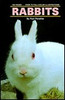 Paul R. Paradise / Rabbits (Hardback)