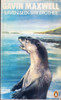 Gavin Maxwell / Raven seek thy brother (Vintage Paperback)