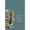 Fintan O'Toole, Catherine Marshall & Eibhear Walshe ( Editors) - Modern Ireland in 100 Artworks - HB - BRAND NEW