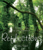 Daisy Seal / Reflections (Hardback)