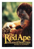 Jeffrey H. Schwartz / Red Ape Orangutans and Human Origins (Hardback)