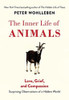 Peter Wohlleben / The Inner Life of Animals (Hardback)