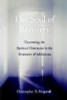 Christopher D. Ringwald / The Soul of Recovery (Hardback)
