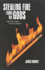 8D / Stealing Fire from the Gods (Large Paperback)