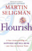 Martin E.P. Seligman / Flourish (Large Paperback)