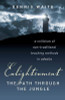 Dennis Waite / Enlightenment (Large Paperback)