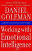 Daniel Goleman / Working with Emotional Intelligence (Large Paperback)
