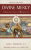 Robert Stackpole / Divine Mercy (Large Paperback)