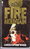 Christopher Wood / Fire Mountain (Vintage Paperback)