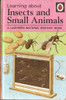 Ladybird / Learning about Insects and Small Animals (Vintage)