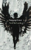Neil McCarthy / Stopgap Grace (Large Paperback)