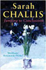 Sarah Challis / Jumping to Conclusions
