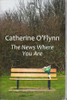 Catherine O'Flynn / The News Where You Are (Large Print) (Hardback)