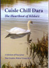Naas Creative Writer's Group / Cuisle Chill Dara (Large Paperback)