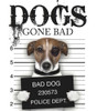 Jack Russell / Dogs Gone Bad (Hardback)