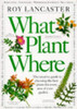 Roy Lancaster / What Plant Where? (Coffee Table Book)