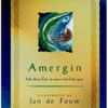 Jan de Fouw  (Illustrator) / Amergín (Hardback)