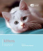 Claire Horton-Bussey / Kitten (Large Paperback)