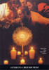 Vincent Martin Lucia / Letters to a Brother Priest (Coffee Table Book)